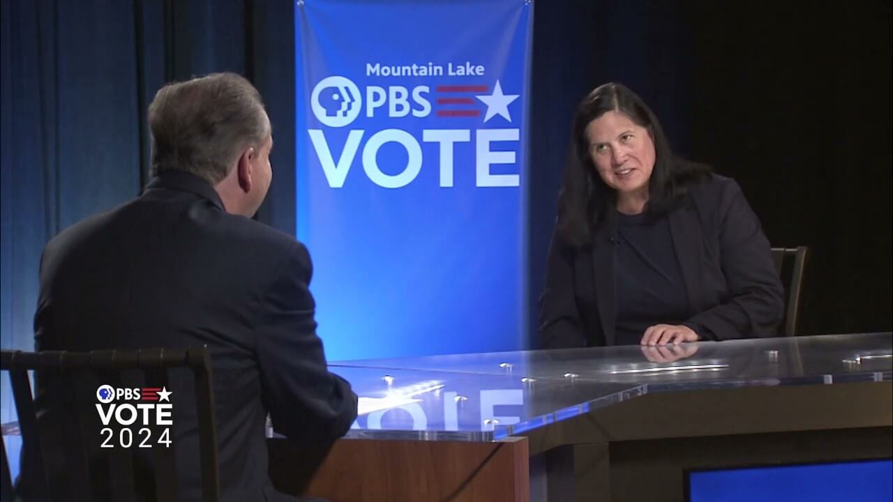 Paula Collins, Democratic Candidate in NY21 Congressional Race Vote